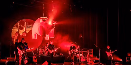 Pink Project — muziek in Eindhoven