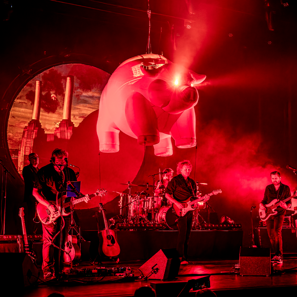 Pink Project: Echoes in Eindhoven